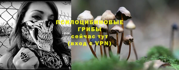 тгк Алексин