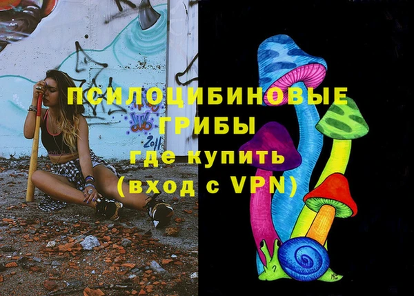бутират Алзамай