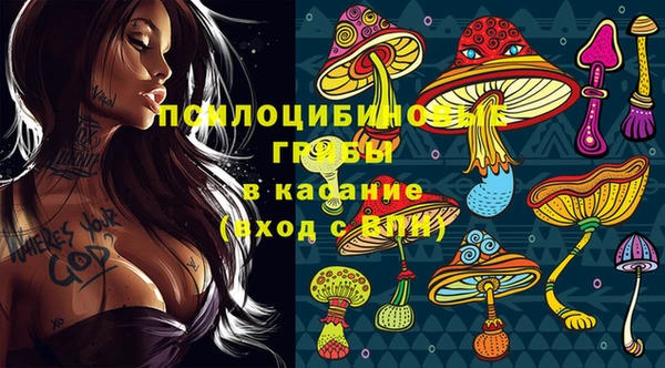 тгк Алексин