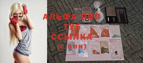 тгк Алексин
