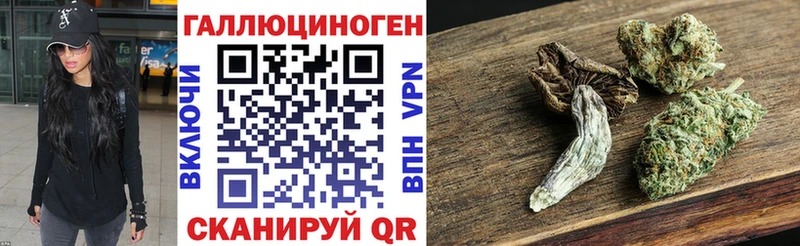 цена наркотик  Приозерск  мега ссылки  Псилоцибиновые грибы прущие грибы 